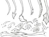 Drawing Dragons Step by Step Dragon Tails Text How to Draw Manga Anime How to Draw Manga
