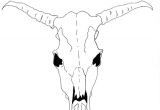 Drawing Easy Cow How to Draw A Cow Skull for Georgia O Keeffe Famous Artist