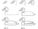 Drawing Easy Duck 569 Best Simple Drawings Images Ideas for Drawing Easy Drawings