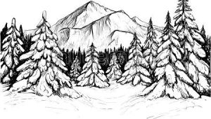 Drawing Easy forest Winter forest Sketch Black and White Vector Illustration Of Snowy