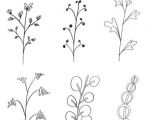Drawing Easy Leaves Doodle Florale Elemente Fur fortgeschrittene Note Pinterest