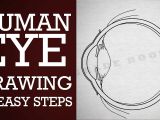 Drawing Eye Diagram How to Draw Human Eye In Easy Steps 10th Physics Science Cbse