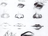 Drawing Eye In Profile 9 Best Face Profile Drawing Images Drawing Faces Drawing