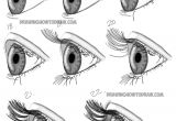 Drawing Eye Perspective How to Draw Realistic Eyes From the Side Profile View Step by Step