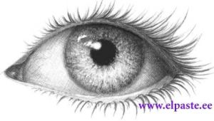 Drawing Eye Pics Drawing I Love to Draw Eyes they are the Opening Of the soul I