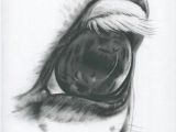 Drawing Eyes Charcoal White Horse Eye Horse Drawing Charcoal Eye Horse Art Farm Art