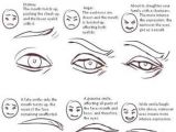 Drawing Eyes for Cartoons Pin by Elizabeth Cupal On My Drawing Stuff Drawings Art Reference