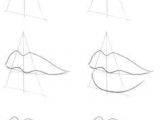 Drawing Eyes In 3 4 View 88 Best Drawings Of Lips Images Drawing Faces Drawing Techniques