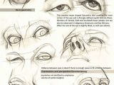 Drawing Eyes On Head Realistic Drawing Reference Dump Zbrush Anatomy Pinterest
