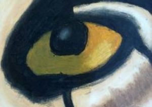 Drawing Eyes with Oil Pastels 71 Best Oil Pastel How to Images In 2019 Oil Pastels Oil Pastel