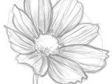 Drawing Fancy Flowers 100 Best How to Draw Tutorials Flowers Images Drawing Techniques