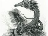 Drawing Fantastic Dragons 632 Best Dragons In Black and White Mostly Images In 2019