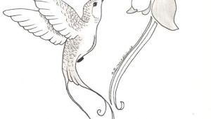 Drawing Flower Gun Hummingbird and Flower Pencil Drawing Google Search Paper Art