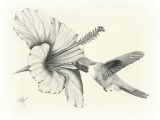 Drawing Flowers and Animals Amazing Pencil Drawings Flowers Drawing Sketch Art Wildlife Bird
