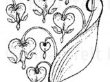 Drawing Flowers and Vines Tattoo Tattoo Pinterest Tattoos Vine Tattoos and Heart Flower