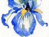 Drawing Flowers Aquarelle Wow Watercolors are Always so Pretty Art In 2018 Pinterest