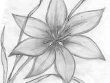 Drawing Flowers Beginners 61 Best Art Pencil Drawings Of Flowers Images Pencil Drawings