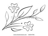 Drawing Flowers Beginners Death How to Draw Flowers Step by Step for Beginners and Taxes