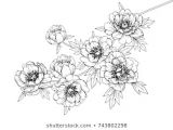 Drawing Flowers Border Flower Line Drawing Images Stock Photos Vectors Shutterstock