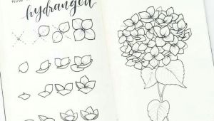 Drawing Flowers Bullet Journal How to Draw Perfect Flower Doodles for Bullet Journal Spreads