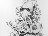 Drawing Flowers by Jill Winch 1412 Nejlepa A Ch Obrazka Z Nasta Nky Flower Drawings Drawings