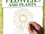 Drawing Flowers by Jill Winch Flowers and Plants How to Draw Amazon Co Uk Mark Bergin Books