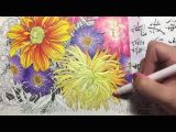 Drawing Flowers Colored Pencils Flower Coloring Tutorial 2 Floribunda Coloring Book Colored