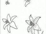 Drawing Flowers From Different Angles 3108 Best How to Draw something I Ve Wanted to Do for so Long Images