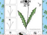 Drawing Flowers From Different Angles 588 Best Draw Flowers N Nature Images In 2019 Draw Drawing Ideas