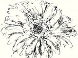 Drawing Flowers From Different Angles How to Draw and Sketch Flowers In Various Mediums