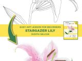 Drawing Flowers In Colored Pencils Jumpstart Level 3 Stargazer Lily In 2018 Art to Try Pinterest