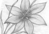 Drawing Flowers In Pen Credit Spreads In 2019 Drawings Pinterest Pencil Drawings