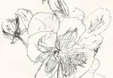Drawing Flowers In Pen Sketch Pansies Drawing Flowers Ink Pen Drawings Drawings Sketches