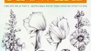Drawing Flowers Jill Winch Jill Winch Drawing Flowers 7647464916 Allegro Pl Wia Cej Nia Aukcje