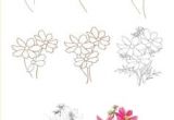 Drawing Flowers Kindergarten 1147 Best Drawing Flowers Images In 2019 Doodles Little Tattoos