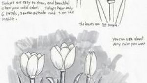 Drawing Flowers Lesson Plans Adron S Art Lesson Plans How to Draw Tulips A Beginners Drawing