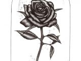 Drawing Flowers On Glass Rose Drawings Rose Pen Drawing with Glass by Blood Huntress On