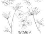 Drawing Flowers Ppt Flower Line Drawing Images Stock Photos Vectors Shutterstock