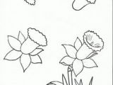 Drawing Flowers Roses Easy 140 Best Flower Drawings Images Doodles Flower Designs Doodle Art