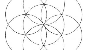 Drawing Flowers Using A Compass Flower Of Life How to Draw It the Chemical Marriage