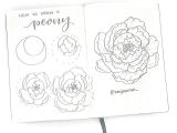 Drawing Flowers while On the Phone D How to Draw A Peonyd I Did A Peony Tutorial A Long Time Ago