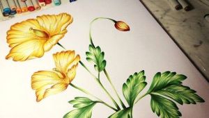 Drawing Flowers with Copic Markers 186 Best Stately Flowers Gina K Images On Pinterest