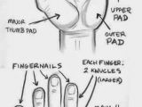 Drawing Hands 3d the Structure Of Hand Study Realistic Hyper Art Pencil Art 3d