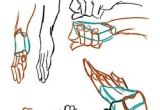 Drawing Hands Basic Shapes Hand Refs Hand Drawn Animation Practice Pinterest Drawings