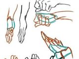Drawing Hands Basic Shapes Hand Refs Hand Drawn Animation Practice Pinterest Drawings