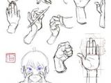 Drawing Hands Challenge 734 Best Character Anatomy Hands Images Sketches Drawing Hands