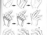 Drawing Hands From the Side 377 Best Hand Reference Images In 2019 How to Draw Hands Ideas