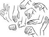 Drawing Hands Poses 13 Best Drawing References Images Drawing Hands How to Draw Hands