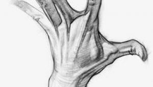 Drawing Hands Proko 61 Best Anatomy for Artists Images In 2019 Draw Human Anatomy