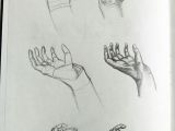 Drawing Hands Reddit Anatomy Drawing Practice Fresh 100 Drawings Hands Quick Sketches